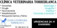 /album/comercios/veterinario-jpg/